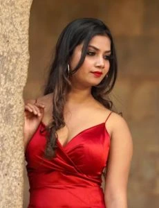 call girl service in Pallapatti